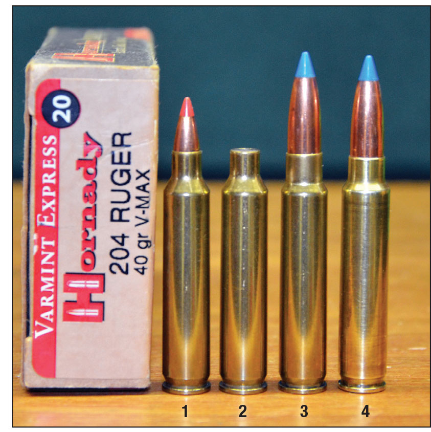 The 204 Ruger case, also on an improved version of the 222 Remington Magnum case, was introduced about 20 years after the 257 Kimber arrived on the scene. In the absence of 222 Remington Magnum cases, 204 Ruger brass can be used to fireform 257 Kimber cases: (1) a 204 Ruger cartridge, (2) a 204 Ruger case necked up for .257-inch bullets, (3) a 204 Ruger case primed, charged and bullet seated for fireforming and (4) a 257 Kimber cartridge.